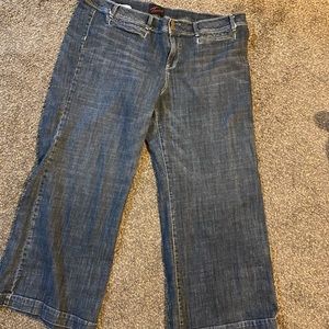 Torrid Blue Jeans Size 26